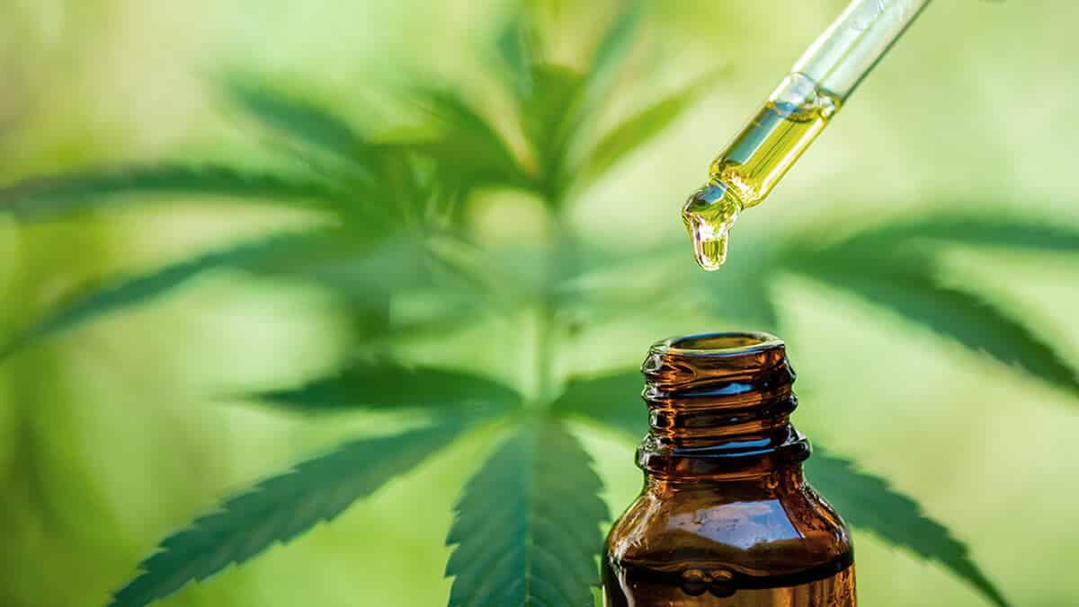 What is CBD oil and is it safe to use?