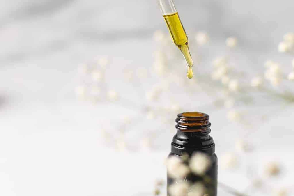 hemp oil for pets