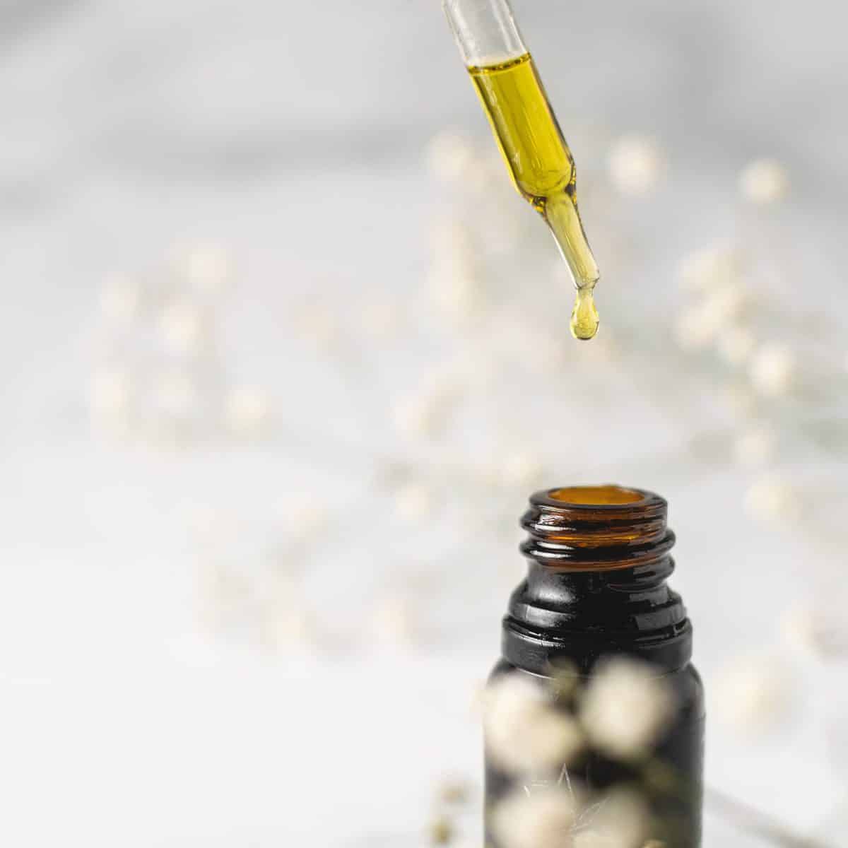 hemp oil for pets