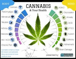 herbal medicine
