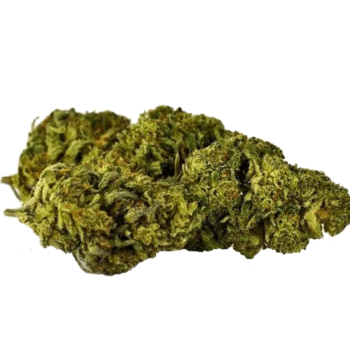 Wellness Retreats NY