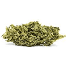 Wellness Retreats NY