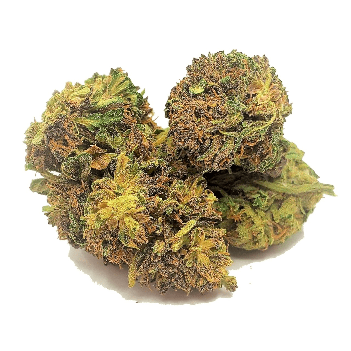 Wellness Retreats NY