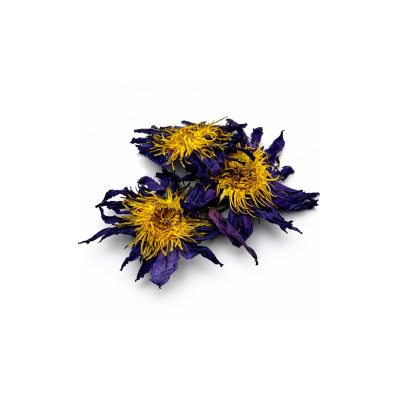 Blue Lotus Flower for sacred smoke blends and dreamy tea rituals by Woke Botanicals