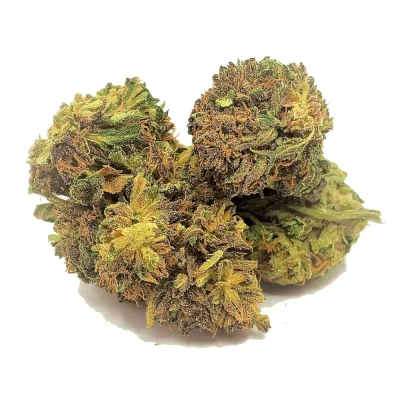 Hemp flower buds